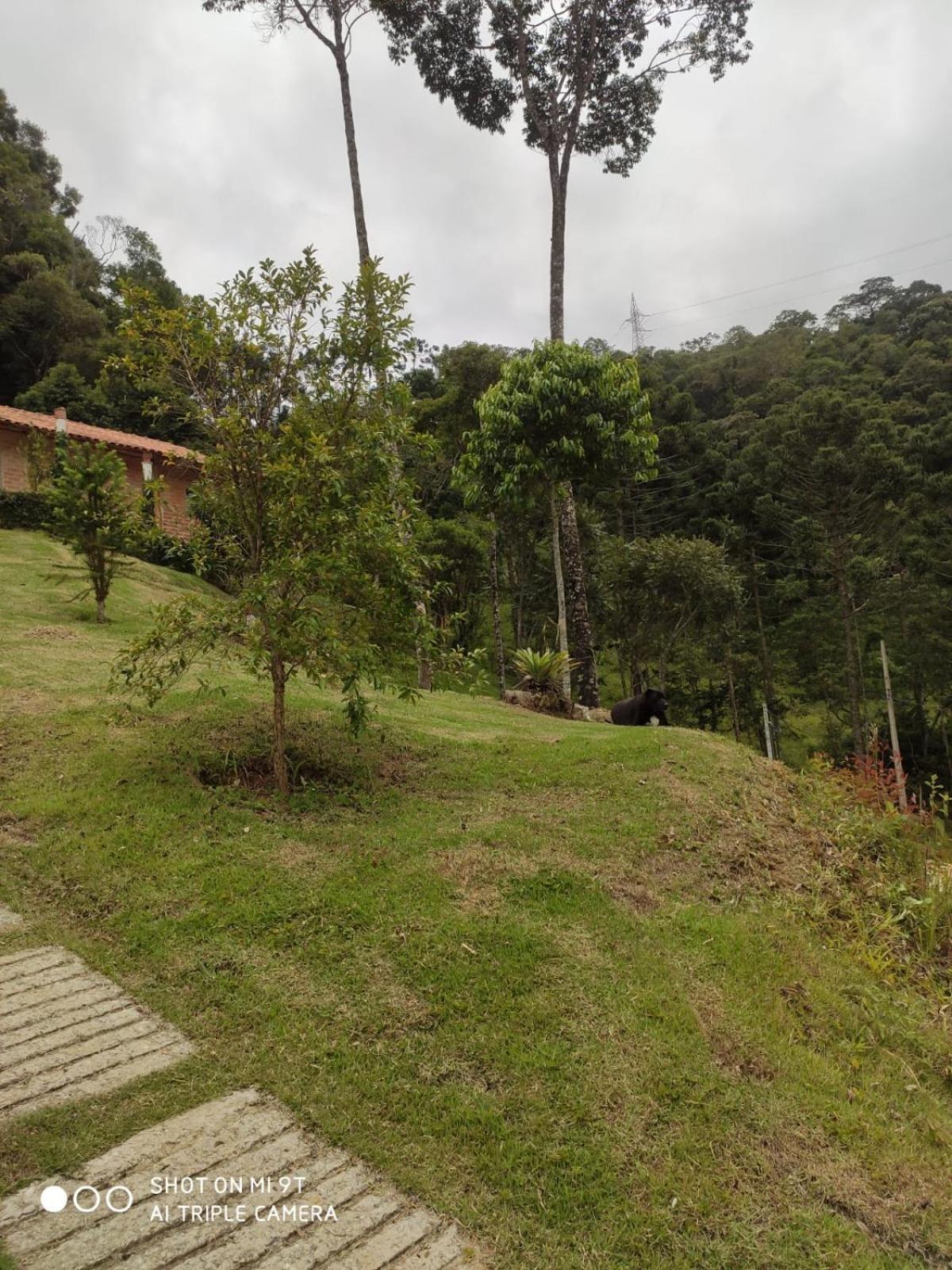 Do Greengo Chalet Santo Antonio do Pinhal